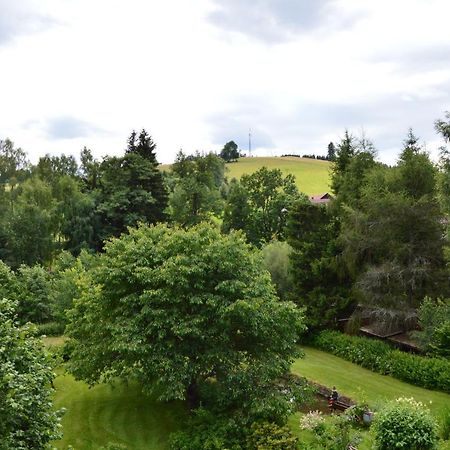 Horsky Apartman Pod Zelenou Strechou Bartosovice v Orlickych Horach 외부 사진